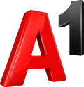 A1